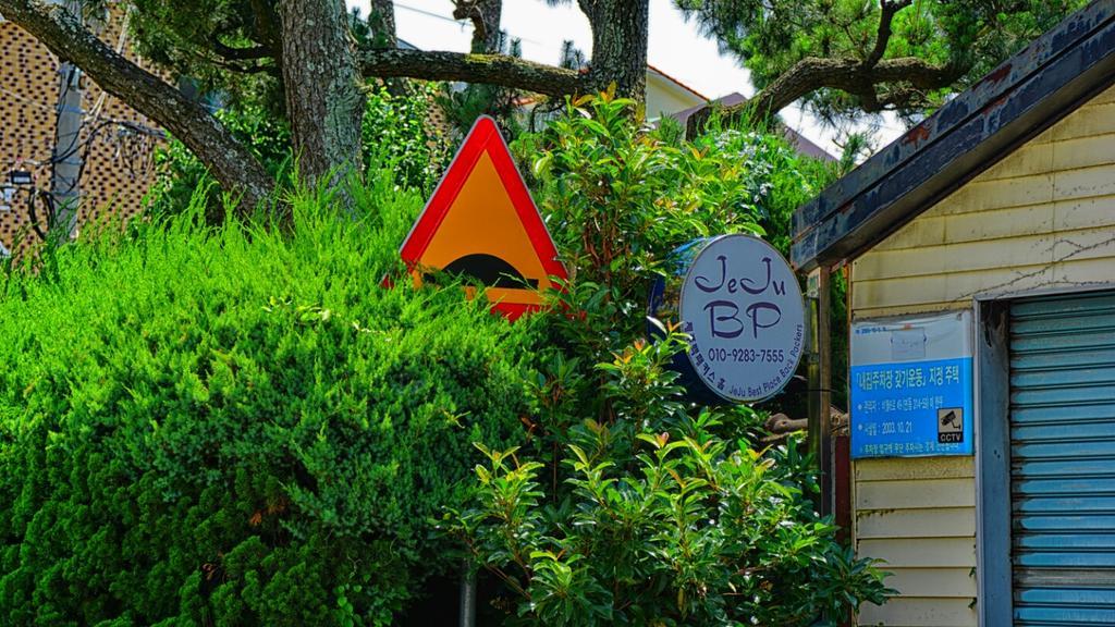 Jeju B.P. Guesthouse Ngoại thất bức ảnh