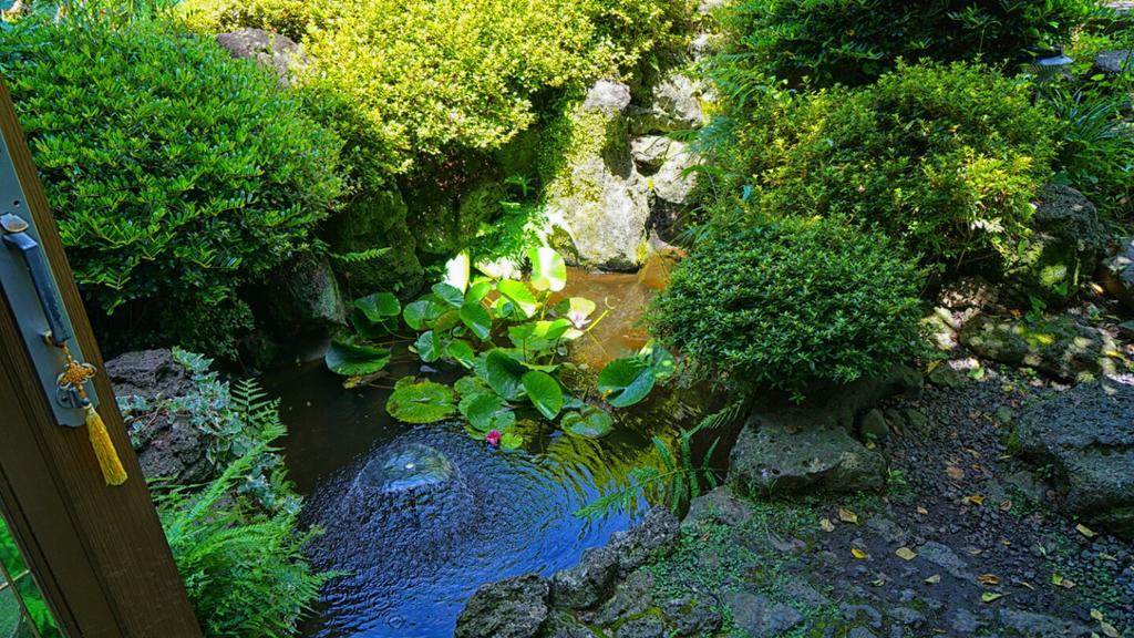 Jeju B.P. Guesthouse Ngoại thất bức ảnh